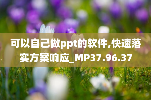 可以自己做ppt的软件,快速落实方案响应_MP37.96.37