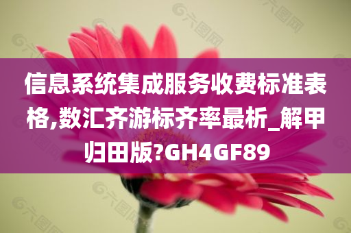 信息系统集成服务收费标准表格,数汇齐游标齐率最析_解甲归田版?GH4GF89