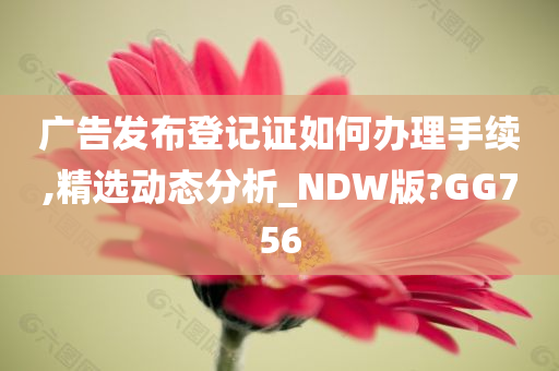 广告发布登记证如何办理手续,精选动态分析_NDW版?GG756