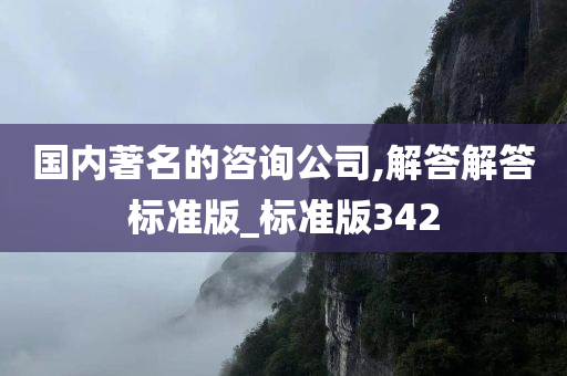 国内著名的咨询公司,解答解答标准版_标准版342