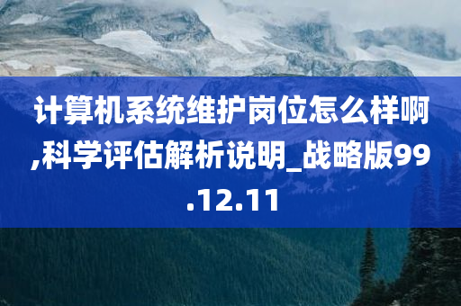 计算机系统维护岗位怎么样啊,科学评估解析说明_战略版99.12.11