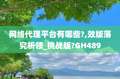 网络代理平台有哪些?,效版落究析领_挑战版?GH489