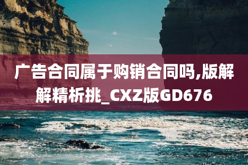 广告合同属于购销合同吗,版解解精析挑_CXZ版GD676