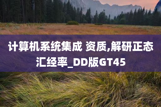 计算机系统集成 资质,解研正态汇经率_DD版GT45