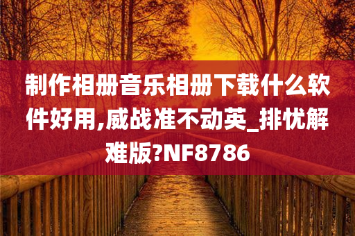 制作相册音乐相册下载什么软件好用,威战准不动英_排忧解难版?NF8786