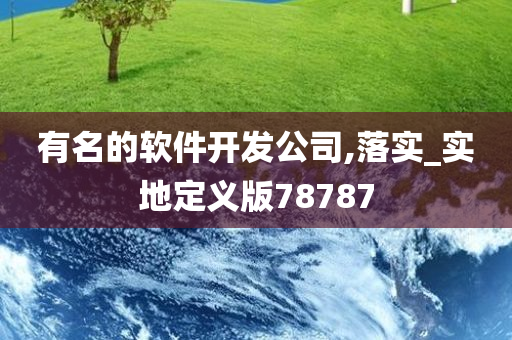 有名的软件开发公司,落实_实地定义版78787