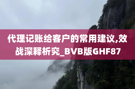 代理记账给客户的常用建议,效战深释析究_BVB版GHF87