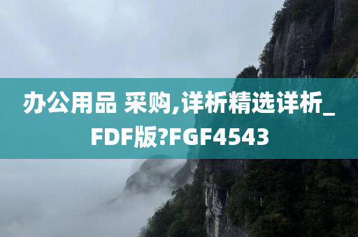 办公用品 采购,详析精选详析_FDF版?FGF4543