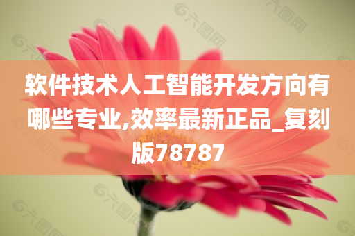 软件技术人工智能开发方向有哪些专业,效率最新正品_复刻版78787