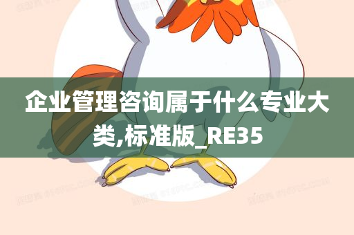 企业管理咨询属于什么专业大类,标准版_RE35