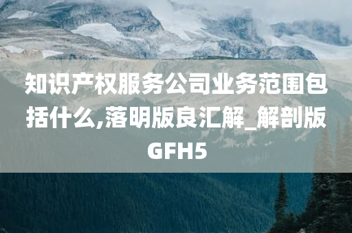 知识产权服务公司业务范围包括什么,落明版良汇解_解剖版GFH5