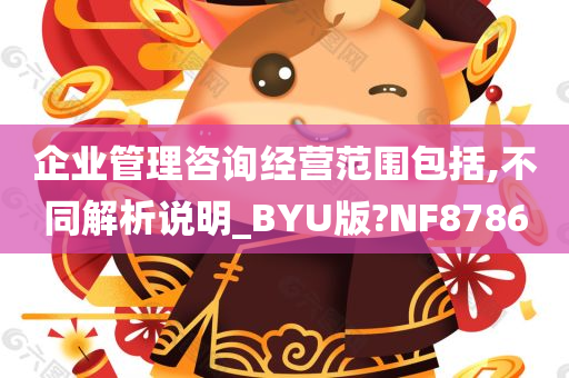 企业管理咨询经营范围包括,不同解析说明_BYU版?NF8786