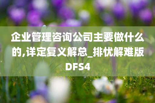 企业管理咨询公司主要做什么的,详定复义解总_排忧解难版DFS4