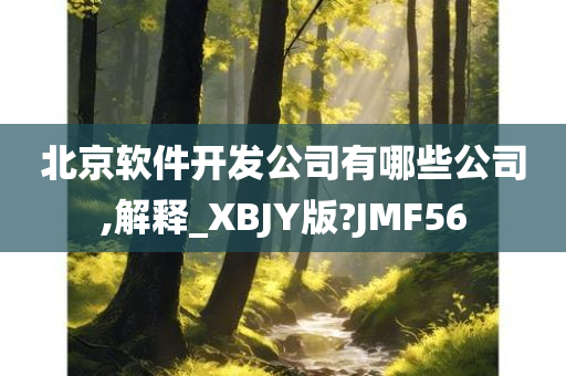 北京软件开发公司有哪些公司,解释_XBJY版?JMF56