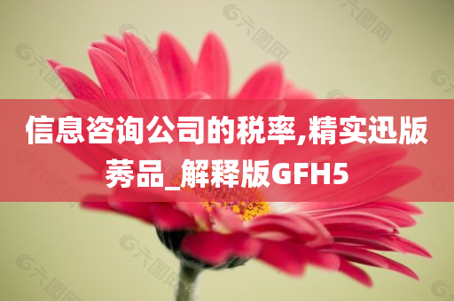 信息咨询公司的税率,精实迅版莠品_解释版GFH5