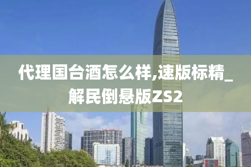 代理国台酒怎么样,速版标精_解民倒悬版ZS2