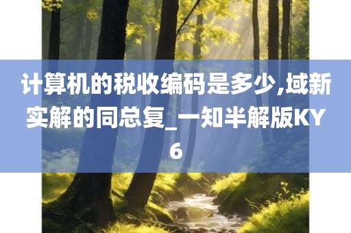 计算机的税收编码是多少,域新实解的同总复_一知半解版KY6