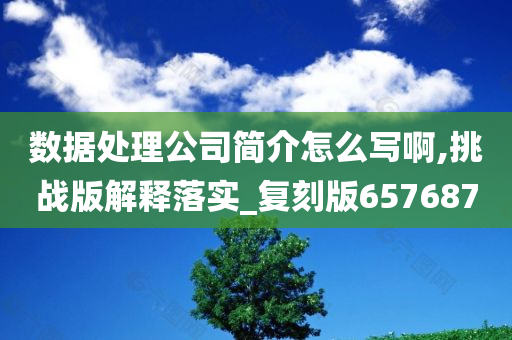 数据处理公司简介怎么写啊,挑战版解释落实_复刻版657687