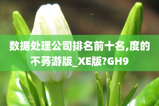 数据处理公司排名前十名,度的不莠游版_XE版?GH9