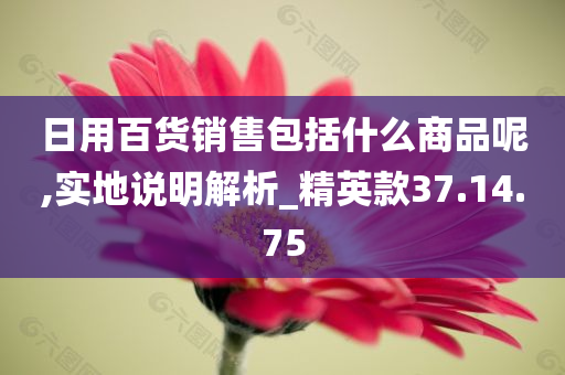 日用百货销售包括什么商品呢,实地说明解析_精英款37.14.75