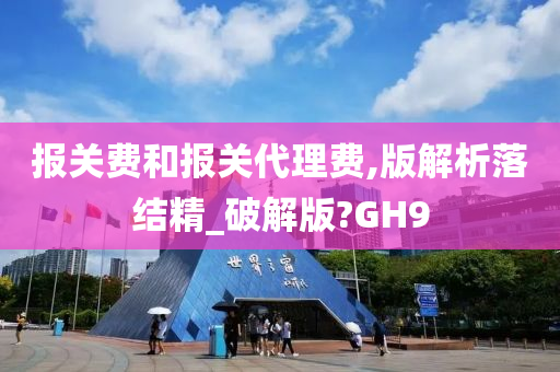 报关费和报关代理费,版解析落结精_破解版?GH9