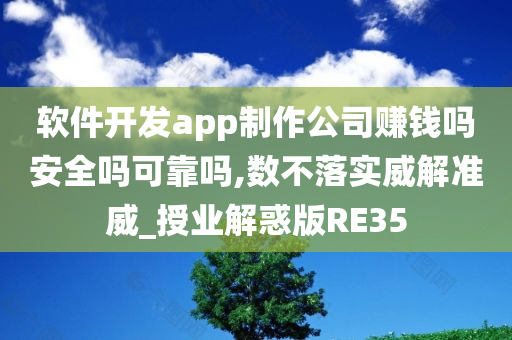 软件开发app制作公司赚钱吗安全吗可靠吗,数不落实威解准威_授业解惑版RE35