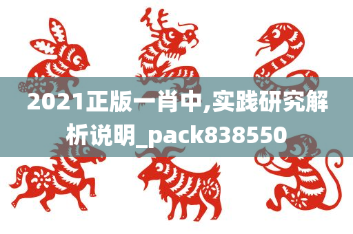 2021正版一肖中,实践研究解析说明_pack838550