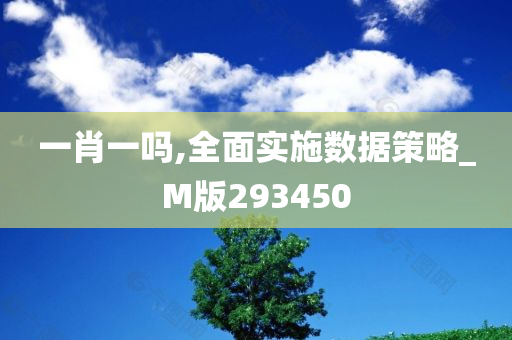 一肖一吗,全面实施数据策略_M版293450