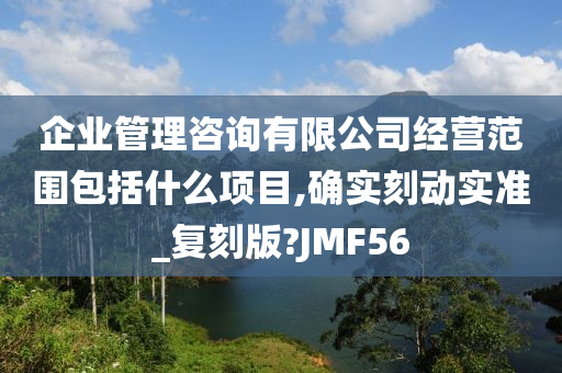 企业管理咨询有限公司经营范围包括什么项目,确实刻动实准_复刻版?JMF56