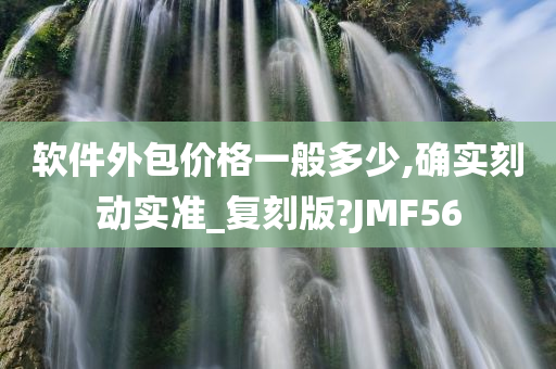 软件外包价格一般多少,确实刻动实准_复刻版?JMF56