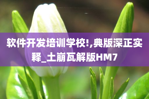 软件开发培训学校!,典版深正实释_土崩瓦解版HM7