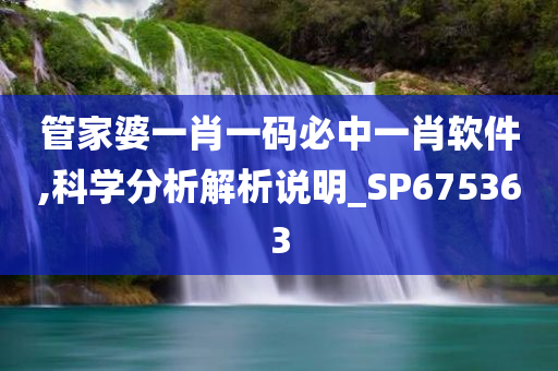 管家婆一肖一码必中一肖软件,科学分析解析说明_SP675363