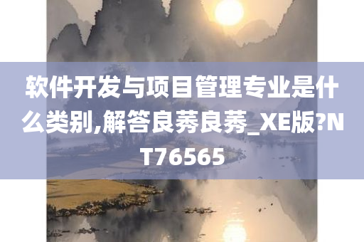 软件开发与项目管理专业是什么类别,解答良莠良莠_XE版?NT76565