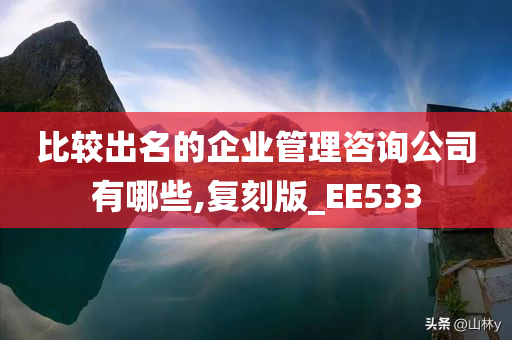 比较出名的企业管理咨询公司有哪些,复刻版_EE533