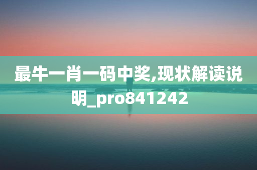 最牛一肖一码中奖,现状解读说明_pro841242