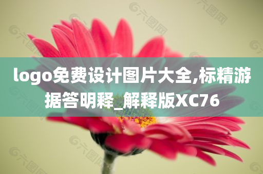 logo免费设计图片大全,标精游据答明释_解释版XC76