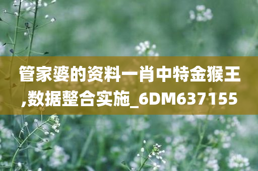 管家婆的资料一肖中特金猴王,数据整合实施_6DM637155