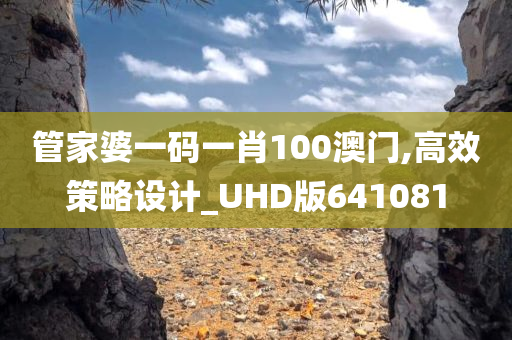 管家婆一码一肖100澳门,高效策略设计_UHD版641081