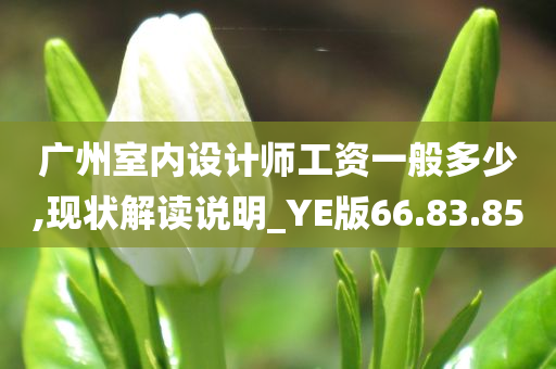 广州室内设计师工资一般多少,现状解读说明_YE版66.83.85