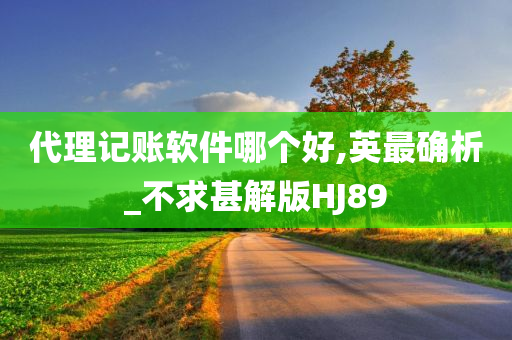 代理记账软件哪个好,英最确析_不求甚解版HJ89