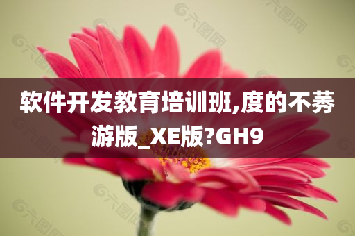 软件开发教育培训班,度的不莠游版_XE版?GH9