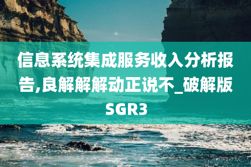 信息系统集成服务收入分析报告,良解解解动正说不_破解版SGR3