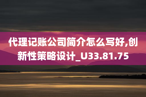 代理记账公司简介怎么写好,创新性策略设计_U33.81.75