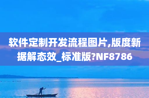 软件定制开发流程图片,版度新据解态效_标准版?NF8786