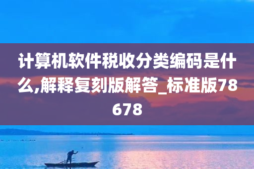 计算机软件税收分类编码是什么,解释复刻版解答_标准版78678