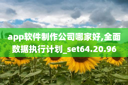 app软件制作公司哪家好,全面数据执行计划_set64.20.96