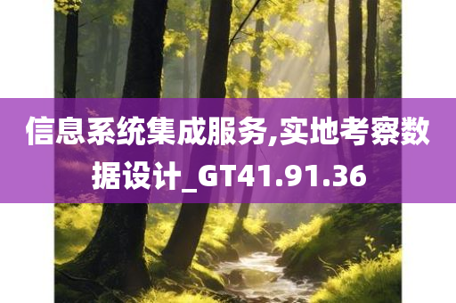 信息系统集成服务,实地考察数据设计_GT41.91.36