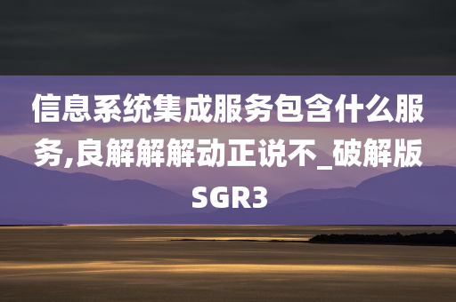 信息系统集成服务包含什么服务,良解解解动正说不_破解版SGR3