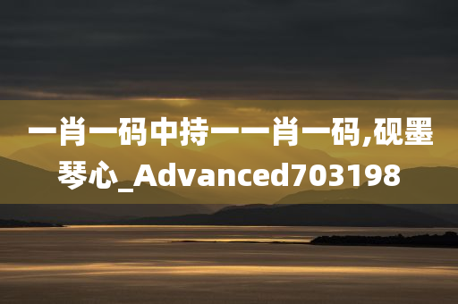 一肖一码中持一一肖一码,砚墨琴心_Advanced703198