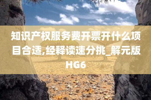 知识产权服务费开票开什么项目合适,经释读速分挑_解元版HG6